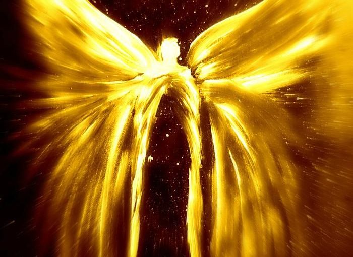 To Own the&nbsp;Skies