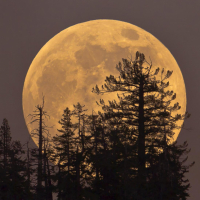 A Poem…Five Years&nbsp;Ago