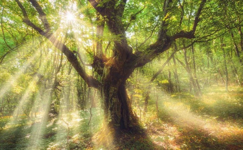 You Shall Yet Find&nbsp;Me