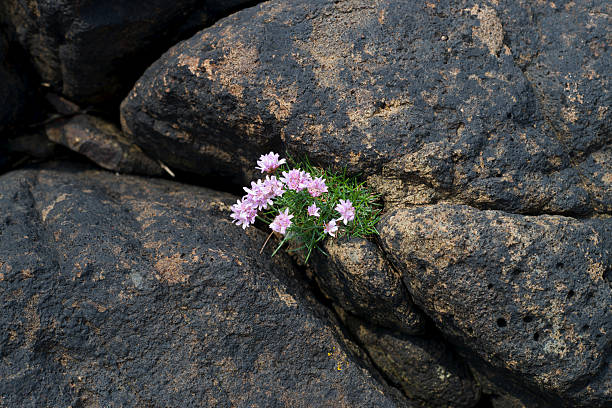 The World Fell&nbsp;Silent